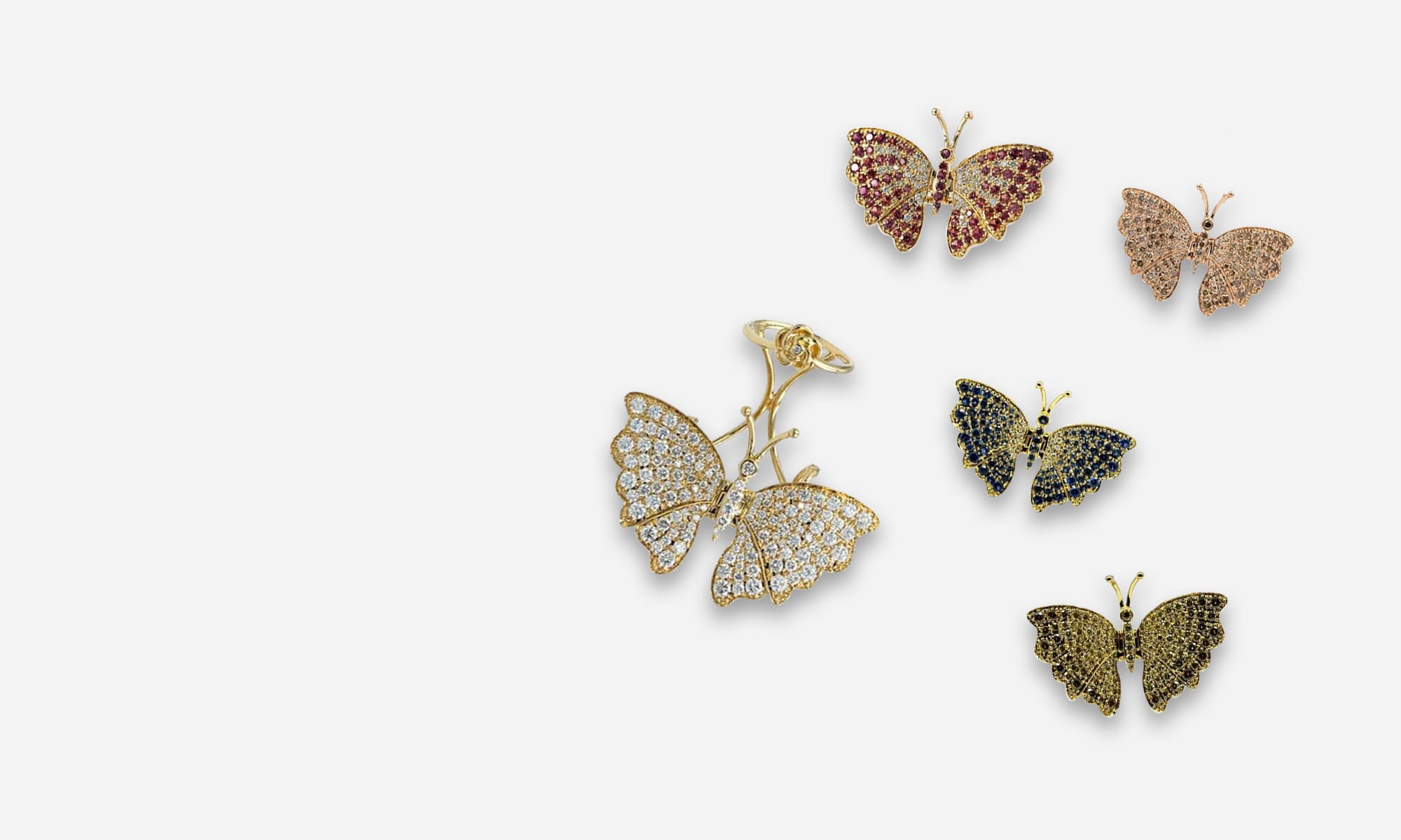 Butterfly Collection