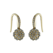 Dangling Diamond Earring