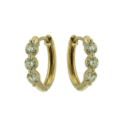 Diamond Hoop Earring